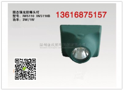 ������iw5110b��iw5110b�r�񡢹̑B���������^��