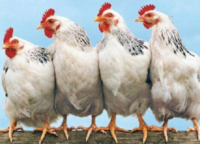 �µ����u����䷽�����r��΢���B��������