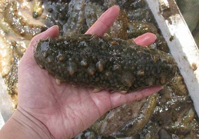 ���������L��ôι�L�ÿ� ���r����ҵ��x��