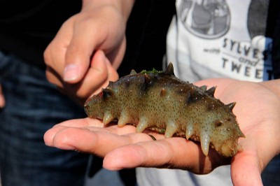 ������ʲô�L�ÿ� ���r����ע����������ӄ�