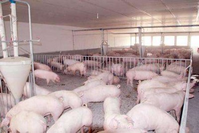 �����i��σr(ji��)�� �L�������ڃ�(y��u)�r(n��ng)��Ч����