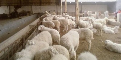 �������ʷ��� ���r�������ٶȿ��L�ݺ�