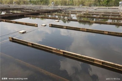 �|ݸ�L�����ǏUˮ̎��