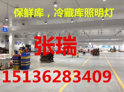 ������������͉�����