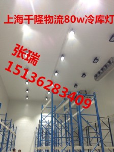 80w�����ҏ���