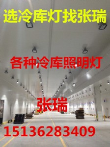 80w��������