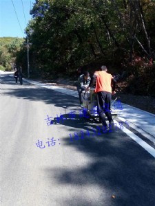 �����׺�ͣ܇������