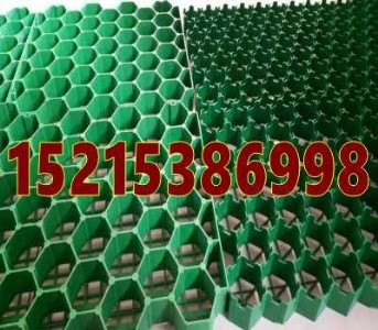 ͨ�ݵ���܇����ˮ��ͨ��ֲ�ݸ�