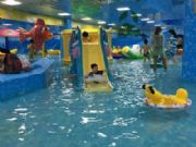 ��(j��)�ϼ����҃�(n��i)��ͯ���}ˮ�Ϙ��@�������I(l��ng)�Ј��¸��