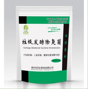 �����l�ͳ�����