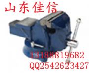 �����_���Q