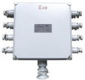 ���������Ӿ���(�D)