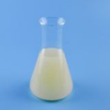 ����(y��ng)��ȫ��PC�������g��