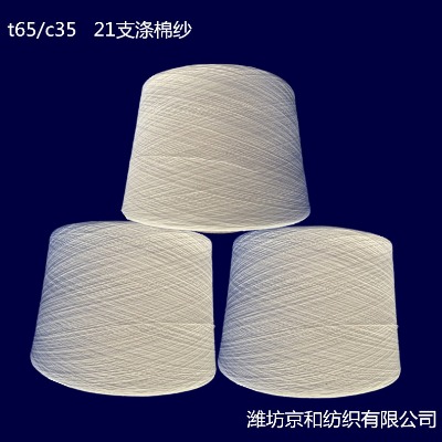 t65/c35 21֧���޼� �h�V�����޻켏���� ����