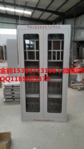 ��ͨ�Ͱ�ȫ���߹�