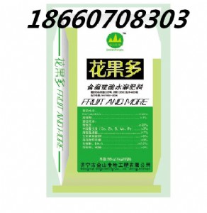 ��ݮ���t���_ʩ�ʻ�����