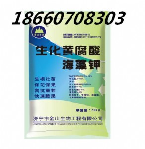 �����S���ả��� �S�����