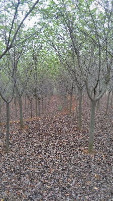 6-7���֙ѻ���8-9���֙ѻ���10���֙ѻ�