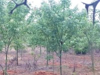 �����������������磬������r