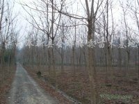 8-9�������ľ��10-11�������ľ��12-13�������