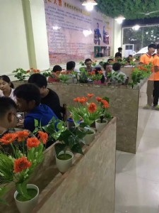 �F���������u�����M�����ڲ���u���g��Ӗ�����Tկ��˾����u��