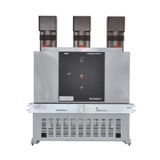 �����͉��_�P(�D)