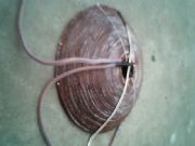 ����늴Št��Ȧ