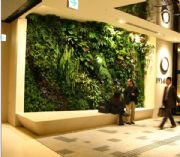 ���I(y��)���a(ch��n)����ֲ��S��ӆ�Ʒ���ֲ�