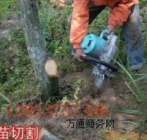 ���ͣ�늄ӣ�����������C �ژ�C