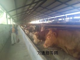 ţ��V������ƣ��� �����H�ۿ�.�Ї�ţ���׾W