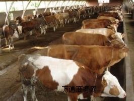 �f(w��n)Դ��ţ�B(y��ng)ֳ��(ch��ng),�ҿh��ţ�B(y��ng)ֳ��(ch��ng)