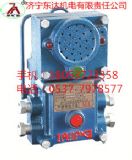 �V�ø���������̖(h��o)��