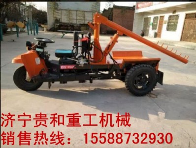 ����܇�����������C �����F�͏S��ֱ�N