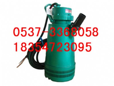 BQS15/30���۱����l�r�� BQS�V�Ý�ˮ�ÏS��