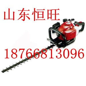 �ε��G�h�C