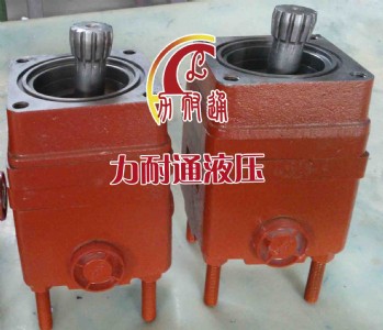 17�@�C���R�_