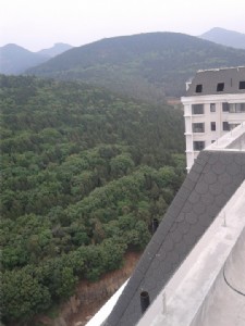 ��(j��)�Ϲ���(y��ng)�͚����b�����沣�w��