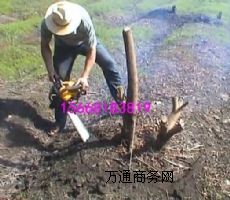 �ژ�C(j��)�ð�H��-��yʽ���C(j��)