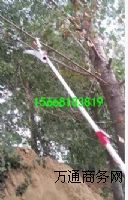 �����f�θ�֦��,�S��ֱ�N