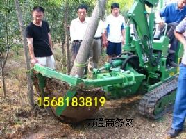 �����f�Ύ���������C