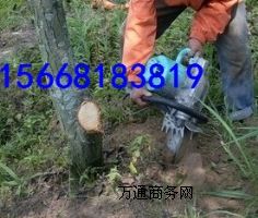 ȫ���͘�ľ��ֲ�C(j��)/�Pʽ�ژ�C(j��)/�p��ʽ����C(j��)