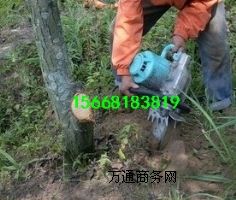 ����������C ��ȫ���ٸ�Ч����������C