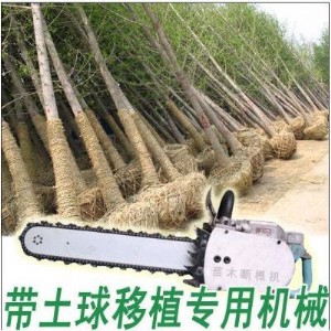 ��ľ�ژ�C�S��