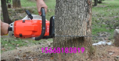 ��䏏S��ֱ�N