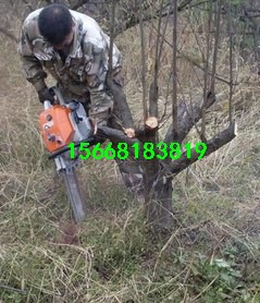 �A�P�_�ϙC ·���_�ϙC