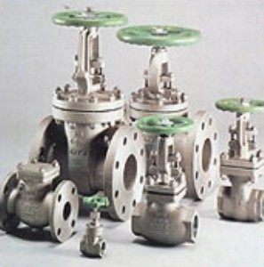 �ձ�����kitz�l�y