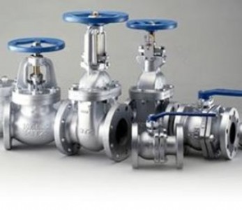 �ձ�����kitz��ֹ�y