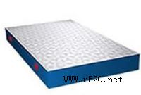 ����z�ƽ���˹��������ȸ�(�D)