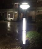 ledͥԺ�� ͥԺ��S��