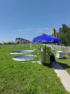 �ǻ�ˮ��վ�O(ji��n)�yϵ�y(t��ng)